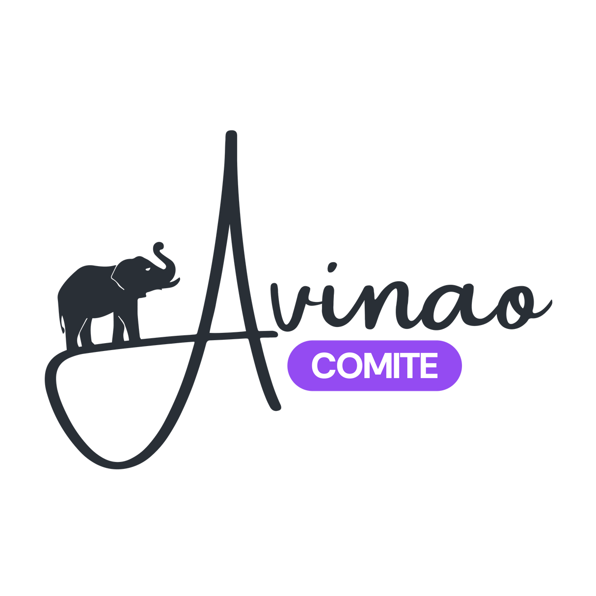 Programme pour le Comité Avinao